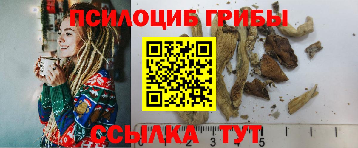 Галлюциногенные грибы MAGIC MUSHROOMS Избербаш