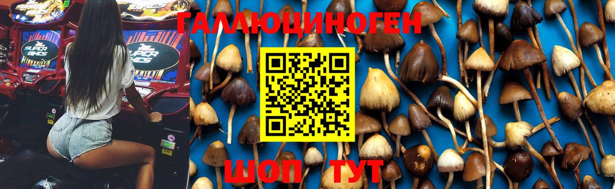 Галлюциногенные грибы MAGIC MUSHROOMS  Псилоцибиновые грибы GOLDEN TEACHER  Избербаш  Вход с VPN 